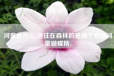 河童是什么(居住在森林的是哪个式神河童蝴蝶精)