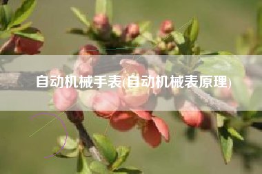 自动机械手表(自动机械表原理)