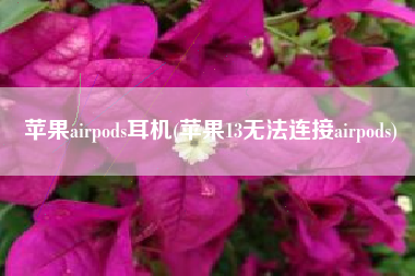 苹果airpods耳机(苹果13无法连接airpods)