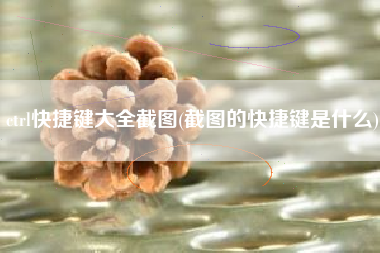 ctrl快捷键大全截图(截图的快捷键是什么)