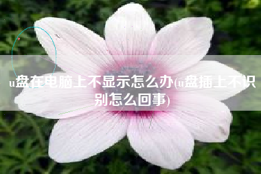 u盘在电脑上不显示怎么办(u盘插上不识别怎么回事)