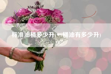 标准油桶多少升(一桶油有多少升)