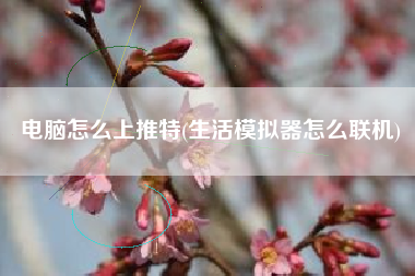电脑怎么上推特(生活模拟器怎么联机)