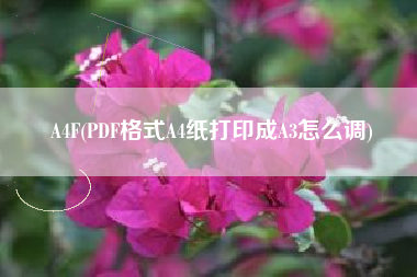 A4F(PDF格式A4纸打印成A3怎么调)