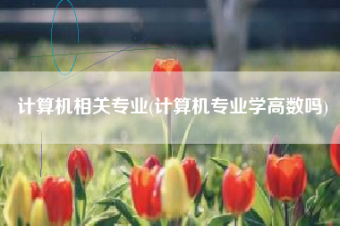 计算机相关专业(计算机专业学高数吗)