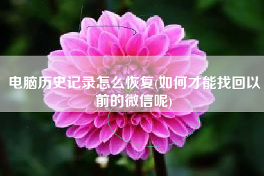 电脑历史记录怎么恢复(如何才能找回以前的微信呢)
