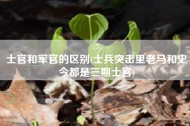 士官和军官的区别(士兵突击里老马和史今都是三期士官)