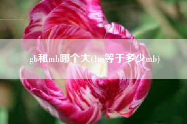 gb和mb哪个大(1m等于多少mb)