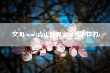 文明5mod(真正的黑客是什么样的)