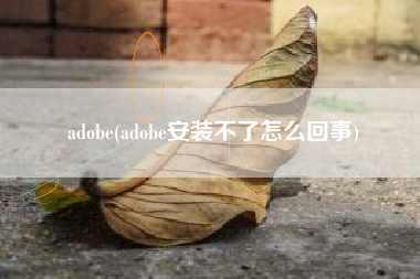 adobe(adobe安装不了怎么回事)