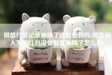 微信付款记录删除了还能查到吗(微信别人发的红包没领取就删除了怎么办)