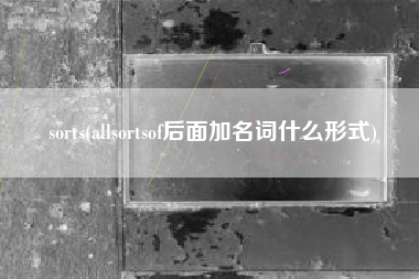 sorts(allsortsof后面加名词什么形式)