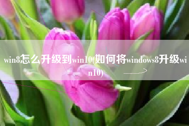 win8怎么升级到win10(如何将windows8升级win10)