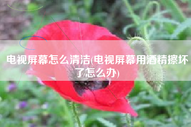 电视屏幕怎么清洁(电视屏幕用酒精擦坏了怎么办)