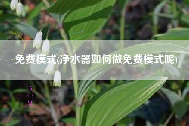 免费模式(净水器如何做免费模式呢)