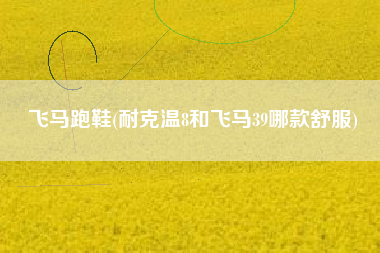 飞马跑鞋(耐克温8和飞马39哪款舒服)