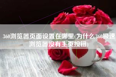 360浏览器页面设置在哪里(为什么360极速浏览器没有主页按钮)