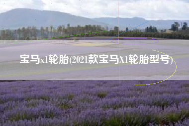 宝马x1轮胎(2021款宝马X1轮胎型号)