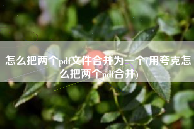 怎么把两个pdf文件合并为一个(用夸克怎么把两个pdf合并)