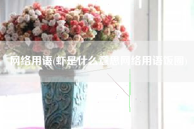 网络用语(虾是什么意思网络用语饭圈)