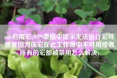 wps启用宏(WPS表格中提示无法运行宏可能是因为该宏在此工作簿中不可用或者所有的宏都被禁用怎么解决)