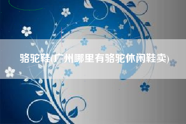 骆驼鞋(广州哪里有骆驼休闲鞋卖)