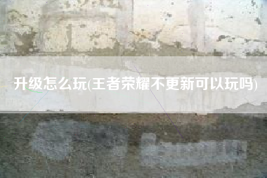 升级怎么玩(王者荣耀不更新可以玩吗)