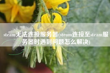 steam无法连接服务器(steam连接至steam服务器时遇到问题怎么解决)
