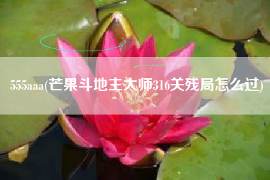 555aaa(芒果斗地主大师316关残局怎么过)