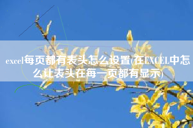 excel每页都有表头怎么设置(在EXCEL中怎么让表头在每一页都有显示)