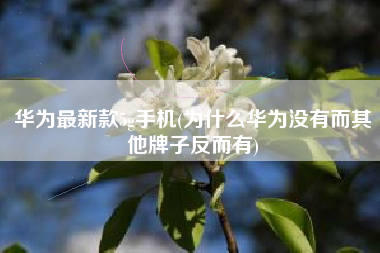 华为最新款5g手机(为什么华为没有而其他牌子反而有)