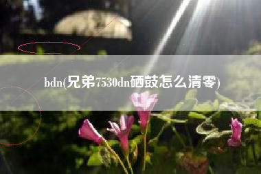 详细阅读:bdn(兄弟7530dn硒鼓怎么清零) bdn(兄弟7530dn硒鼓怎么清零)