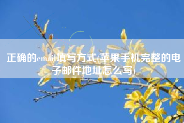 正确的email填写方式(苹果手机完整的电子邮件地址怎么写)