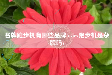 名牌跑步机有哪些品牌(ovicx跑步机是杂牌吗)
