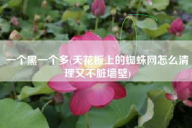 一个黑一个多(天花板上的蜘蛛网怎么清理又不脏墙壁)