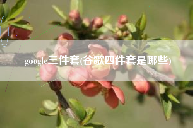 google三件套(谷歌四件套是哪些)