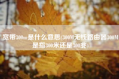 宽带300m是什么意思(300M无线路由器300M是指300米还是300兆)
