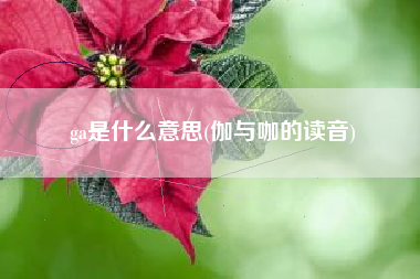 ga是什么意思(伽与咖的读音)