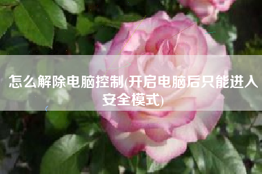 怎么解除电脑控制(开启电脑后只能进入安全模式)