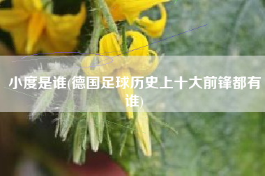 小度是谁(德国足球历史上十大前锋都有谁)
