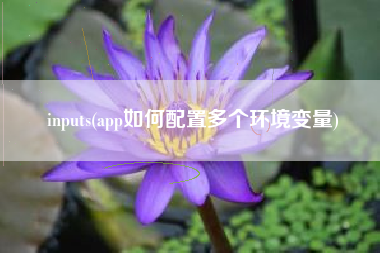 inputs(app如何配置多个环境变量)