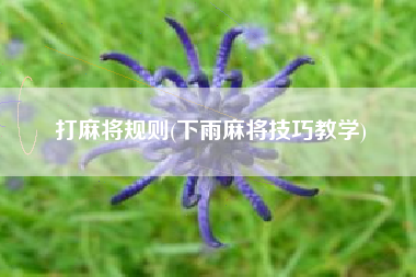 打麻将规则(下雨麻将技巧教学)