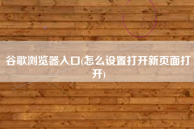 谷歌浏览器入口(怎么设置打开新页面打开)