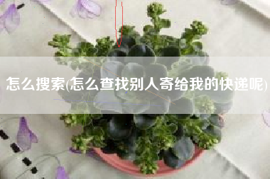 怎么搜索(怎么查找别人寄给我的快递呢)