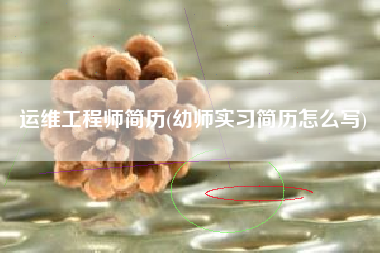 运维工程师简历(幼师实习简历怎么写)