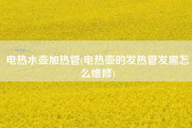 电热水壶加热管(电热壶的发热管发黑怎么维修)