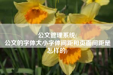 公文管理系统(
公文的字体大小字体间距和页面间距是怎样的) 公文管理系统(
公文的字体大小字体间距和页面间距是怎样的)