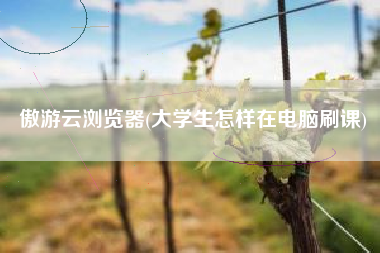 傲游云浏览器(大学生怎样在电脑刷课)