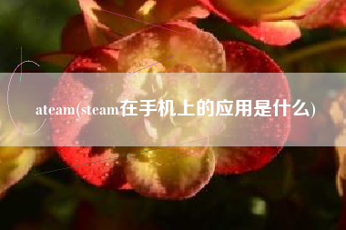 ateam(steam在手机上的应用是什么)