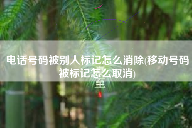 电话号码被别人标记怎么消除(移动号码被标记怎么取消)